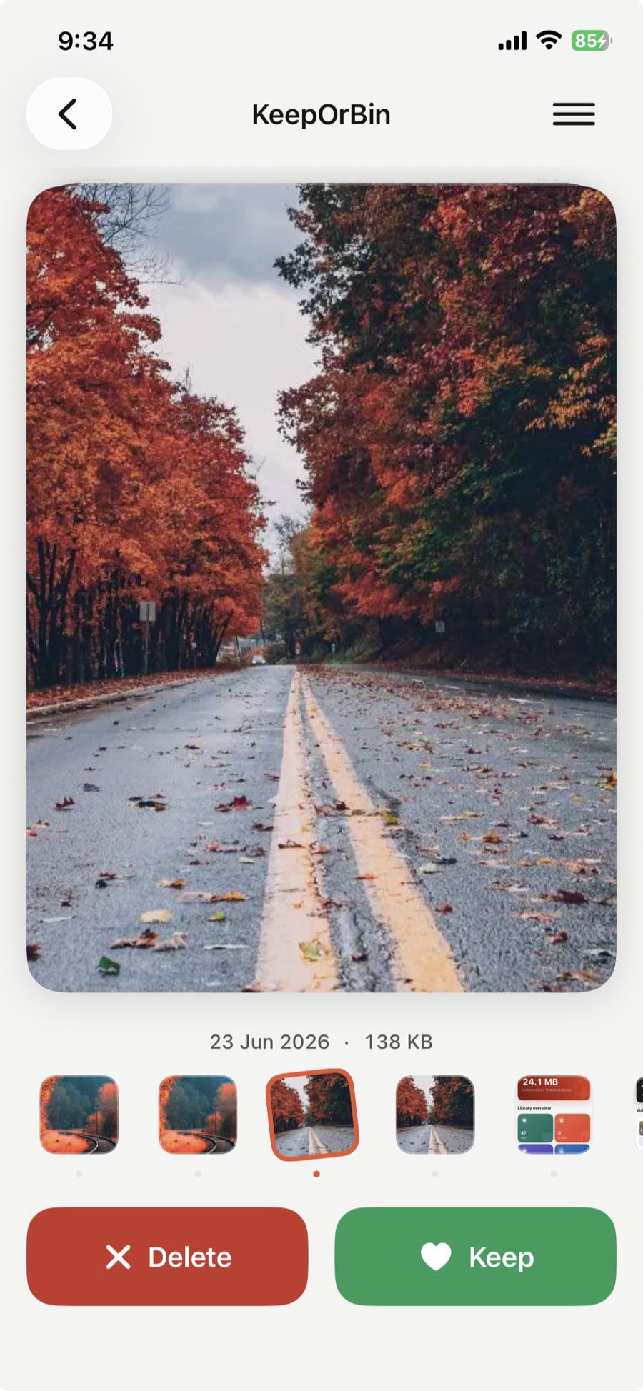 A photo shown full screen for review
